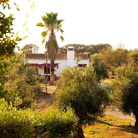 Hôtel Monte Da Coelha Al à Redondo Extérieur photo